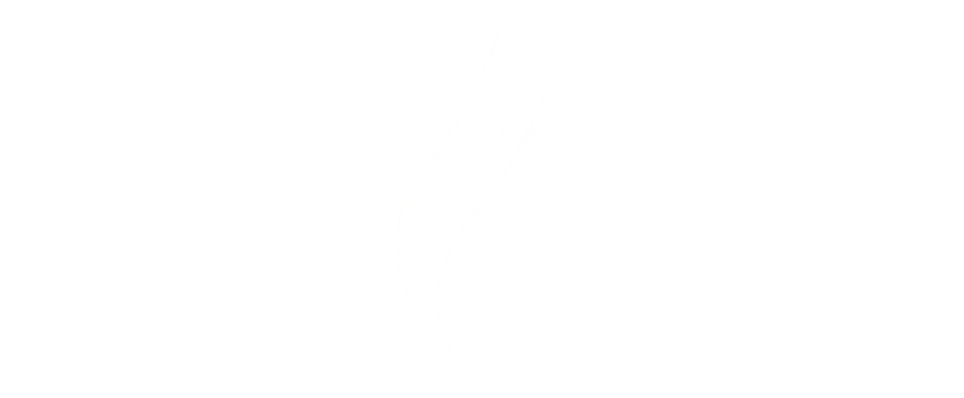 logo-lena-vison